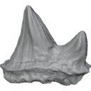 MG_-_Teeth_61