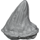MG_-_Teeth_62