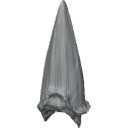 MG_-_Teeth_64