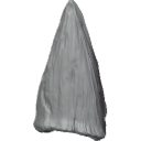 MG_-_Teeth_66