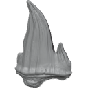 MG_-_Teeth_71