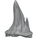 MG_-_Teeth_72