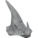 MG_-_Teeth_73