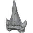 MG_-_Teeth_74