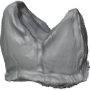 MG_-_Teeth_82