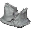 MG_-_Teeth_84