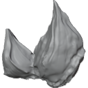 MG_-_Teeth_86