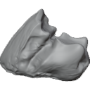 MG_-_Teeth_87