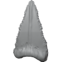 MG_-_Teeth_93