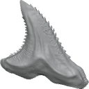 MG_-_Teeth_97
