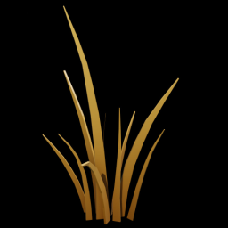 Beach Grass 1
