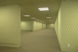 The Backrooms