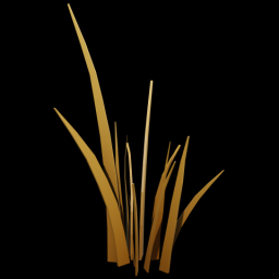 Beach Grass 2