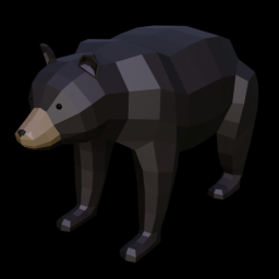 Black Bear