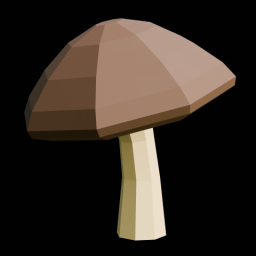 Brown Mushroom 1