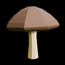 Brown Mushroom 2