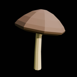 Brown Mushroom 3