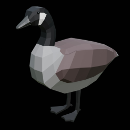 Canada Goose