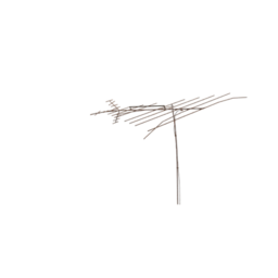 ante01R