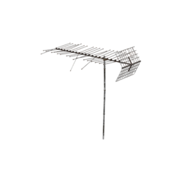 ante03R