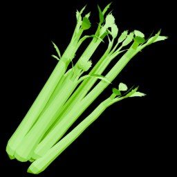 Cellery Stalk
