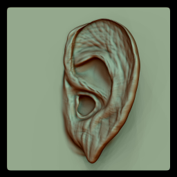 MG - Ear VDM 01