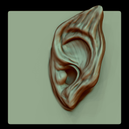 MG - Ear VDM 04