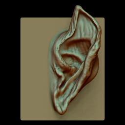 MG - Ear VDM 10
