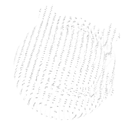 Hologram_11