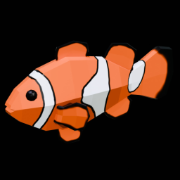 Clown Fish