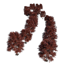 1. Plants Path *GN