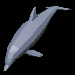Dolphin