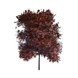 Red Tree 02