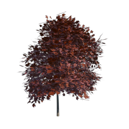 Red Tree 06