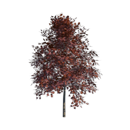 Red Tree 09