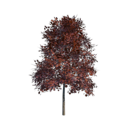 Red Tree 10