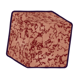 CS_Brain