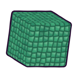 CS_Scales