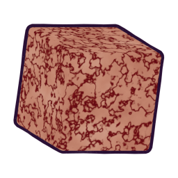 CS_Brain_Boil