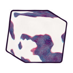 CS_Misprint_Boil