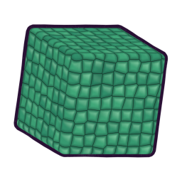 CS_Scales_Boil