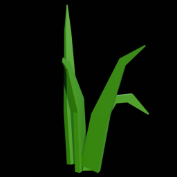 Grass 1