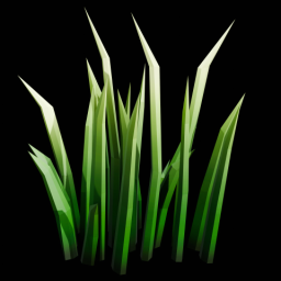 Grass 12