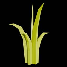 Grass 2