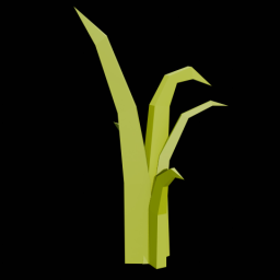 Grass 6