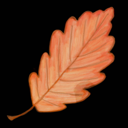 Leaf 1