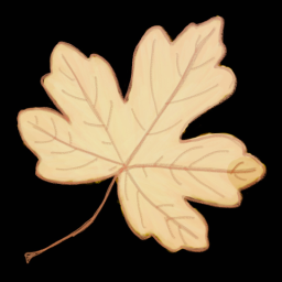 Leaf 2