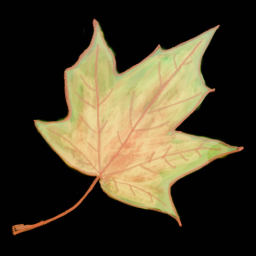 Leaf 3