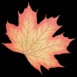 Leaf 6