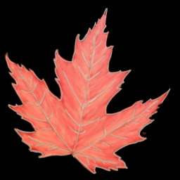 Leaf 8